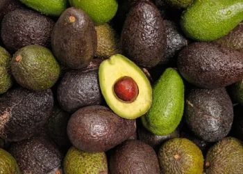 morocco avocado export