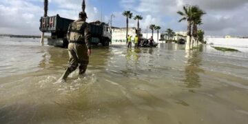 Morocco Accelerates Agricultural Recovery in Loukkos After Floods