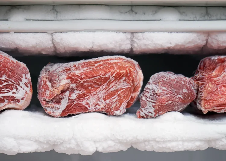Morocco has launched an open international tender to purchase 4,000 tons of frozen red meat for units of the Royal Armed Forces (FAR).