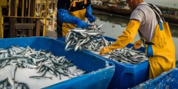 morocco fishing