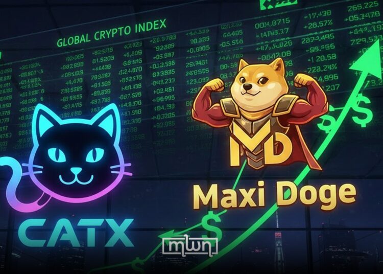 Memecoin Trading Activity Picks Up After CATX 3,600% Surge in 24 Hours
