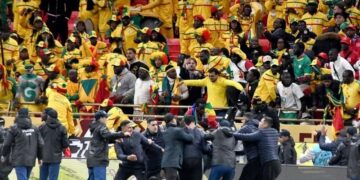 Senegalese Fans Receive 3-Month to 1-Year Sentences Over Vandalism in AFCON Final