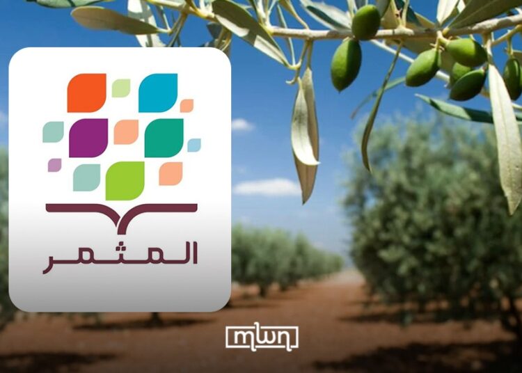Launched in September 2018, Al Moutmir is a multi-service initiative led by Mohammed VI Polytechnic University (UM6P), OCP Foundation, in partnership with the Ministry of Agriculture.