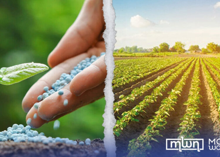 India Secures 2.5 Million Tonnes of Fertilizer Supply from Morocco