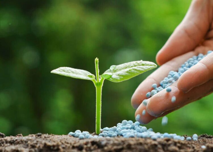 OCP Group is the world’s largest phosphate exporter, positioning the kingdom among the top five global fertilizer suppliers.