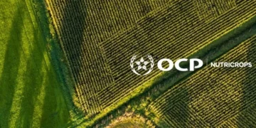 Morocco Approves Creation of OCP Nutricrops Subsidiaries in France, India