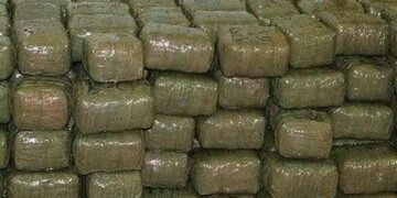 Morocco Seizes Nearly 12 Tonnes of Cannabis in Essaouira Drug Trafficking Attempt