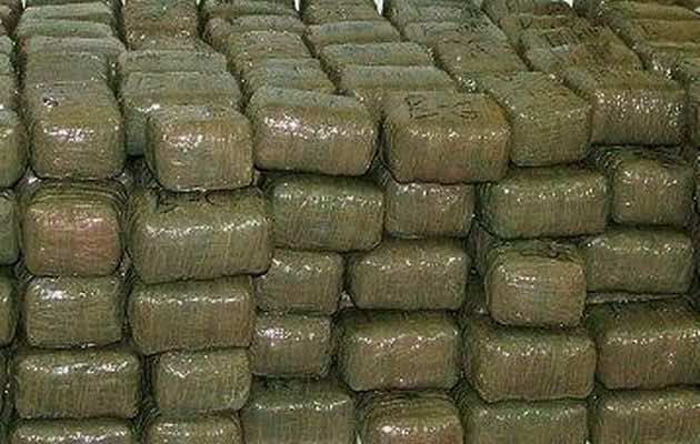 Morocco Seizes Nearly 12 Tonnes of Cannabis in Essaouira Drug Trafficking Attempt
