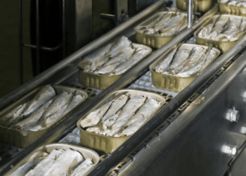 Morocco’s decision to halt sardine exports to the European Union has triggered a political and industrial crisis in Spain.