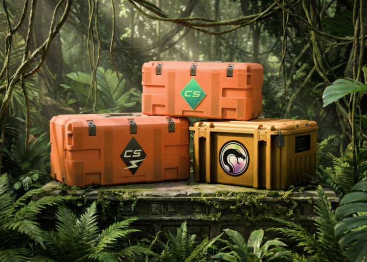 CS2 Case Economy Explained: ROI, Risk, and Long-Term Value