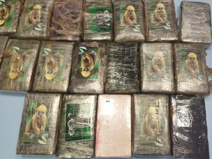 Seized cocaine bags.