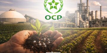 New Cadmium Guidelines Cement OCP’s Leadership in Global Agriculture Safety