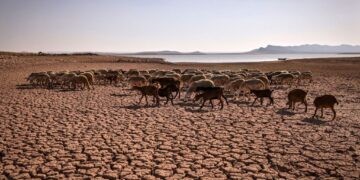 El Niño Could Return in 2026 and Renew Drought Risks for Morocco