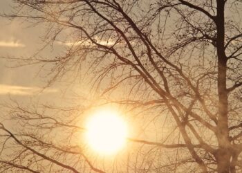 37-40 Degrees Celsius Temperatures to Hit Several Provinces in Morocco