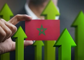 Morocco Ranks 11th Among Recipients of Mobilized Private Finance