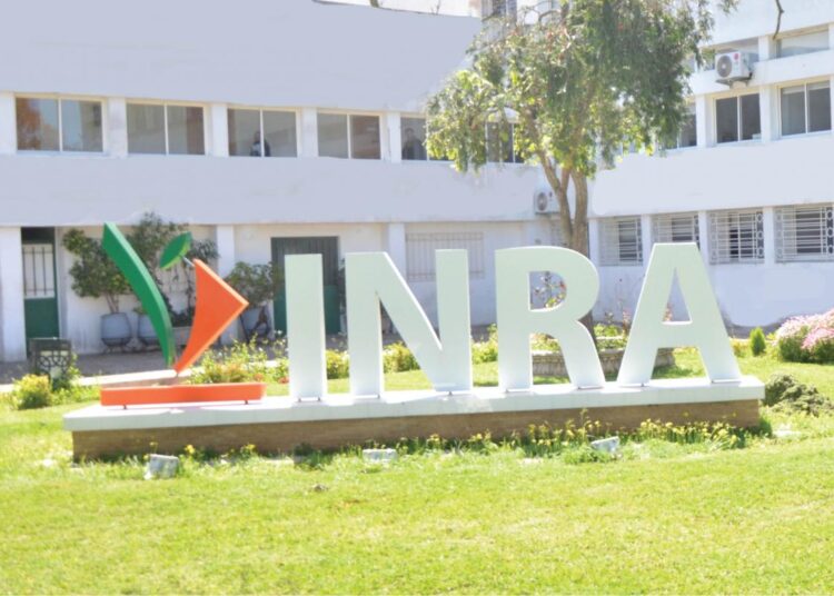 INRA Positions Innovation as a Pillar of Morocco’s Agricultural Transformation