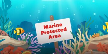 Morocco Hosts Conference to Discuss Importance of Sustainable Marine Sector