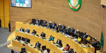 The African Union Peace and Security Council (AU PSC).