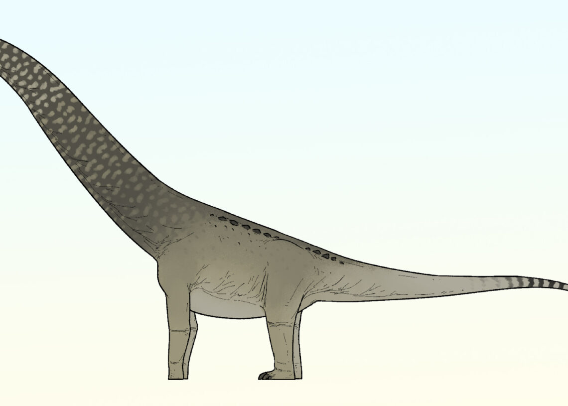 Morocco’s Phosphates Yield New Dinosaur With South American Ties