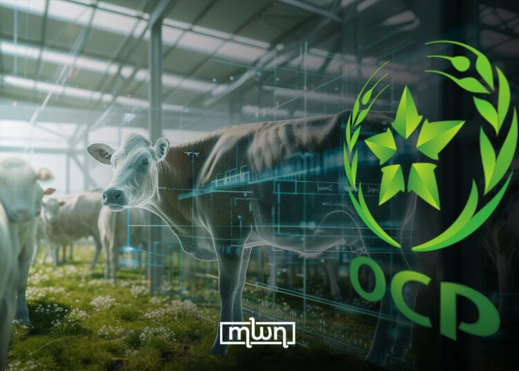 SIAM- OCP Shows How Phosphorus is Central to Food Security, Animal Production