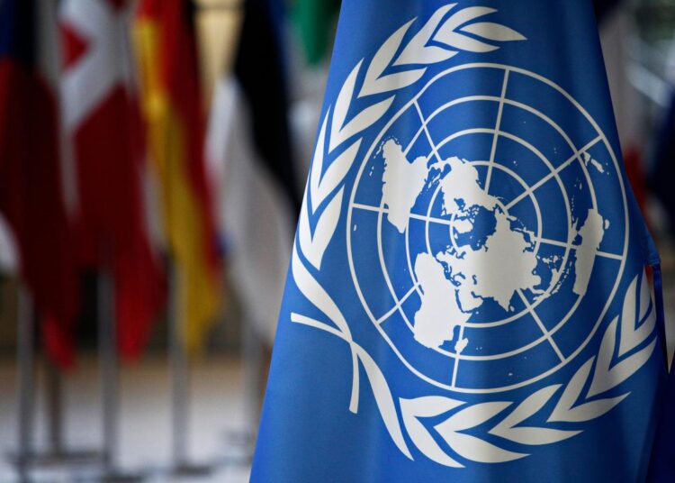 UN Committee Against Torture Elects Abderrazak Rouwane as Rapporteur