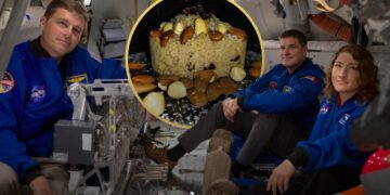 NASA Includes Couscous in Official Artemis II Lunar Menu