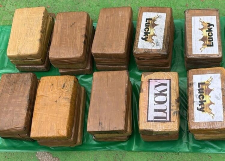 The seized drugs.
