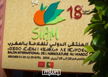 Morocco Pilots Digital Payments for Rural Cooperatives at SIAM 2026