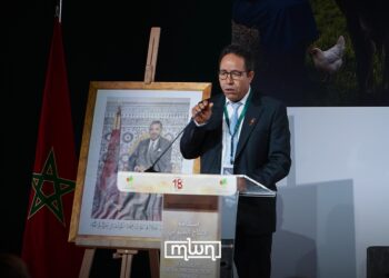 Mohamed Ouhssain, financial director at the Ministry of Agriculture, at SIAM 2026