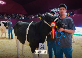 SIAM Cow Competition Crowns Category Winners as US Judge Praises Top Young Champion