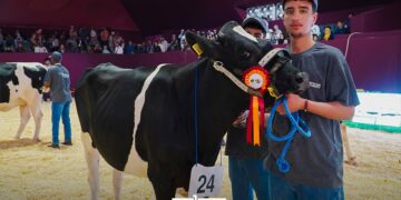 SIAM Cow Competition Crowns Category Winners as US Judge Praises Top Young Champion