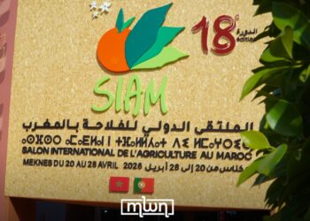 SIAM 2026 Draws Over 1.13 Million Visitors to Meknes