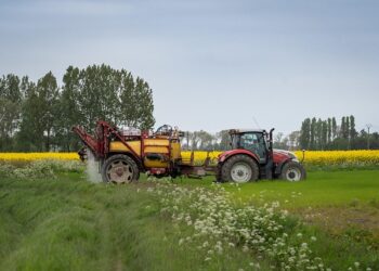 US Selects Morocco for $226 Million Food for Progress 2026 to Boost Agriculture