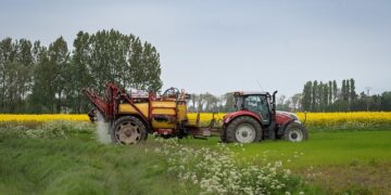 US Selects Morocco for $226 Million Food for Progress 2026 to Boost Agriculture
