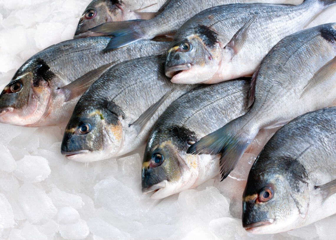 L'initiative de poisson congelé atteint 50 villes alors que le Maroc prévoit un réseau permanent