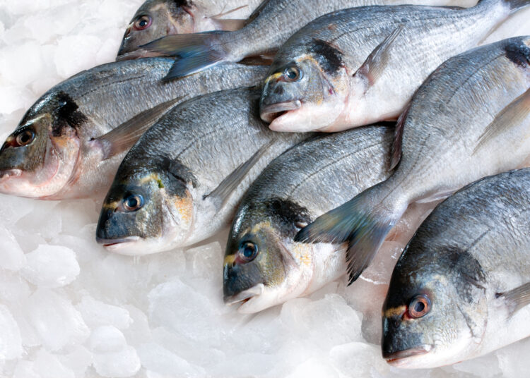 Frozen fish