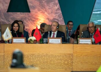 African Ministers Mark 10 Years of ‘AAA’ at SIAM 2026