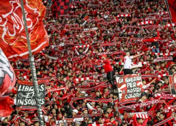 Wydad Fans Push for Independence, Debate Over Club’s Future Grows