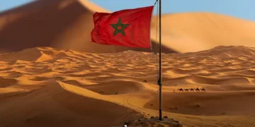 Ben Saul and the Ideological Capture of International Law on Western Sahara
