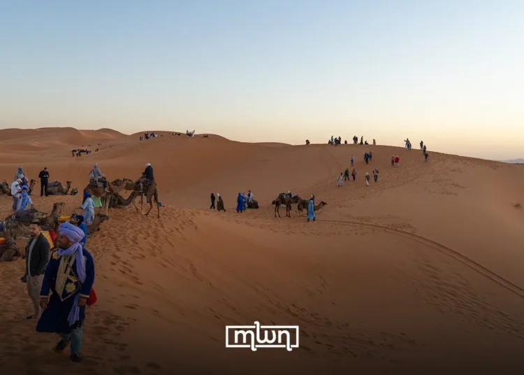 IFC Seeks Consulting Firm to Develop Tourism Investment Roadmap for Morocco
