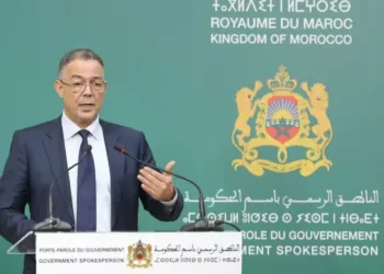 Moroccan Budget Minister Fouzi Lekjaa