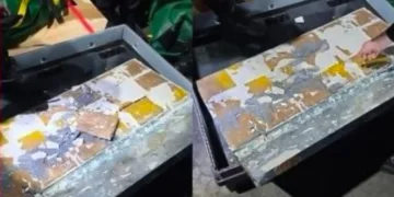 Police in Tanger Med Port Foil Drug Trafficking Attempt, Seize 570 Kg of Cannabis