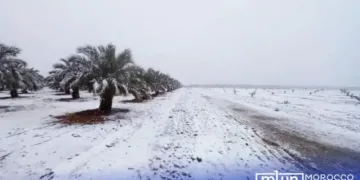 Strong Winds, Snowfall to Hit Several Provinces in Morocco