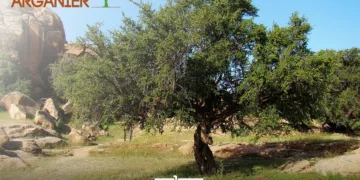 Essaouira Hosts 8th International Argan Congress