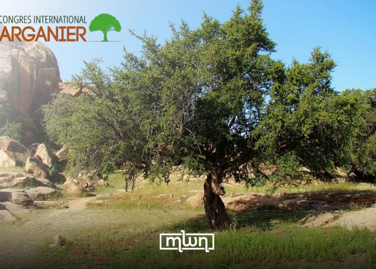 Essaouira Hosts 8th International Argan Congress