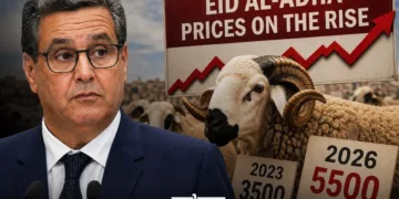 meat prices morocco eid al adha akhannouch