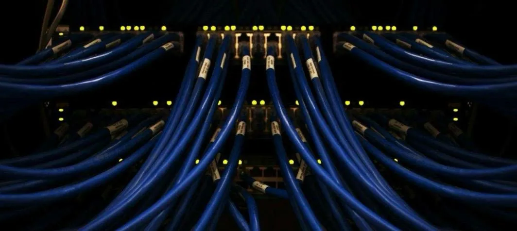 Data cables connected on network switches in a computer server room. Scott Rodgerson on Unsplash.