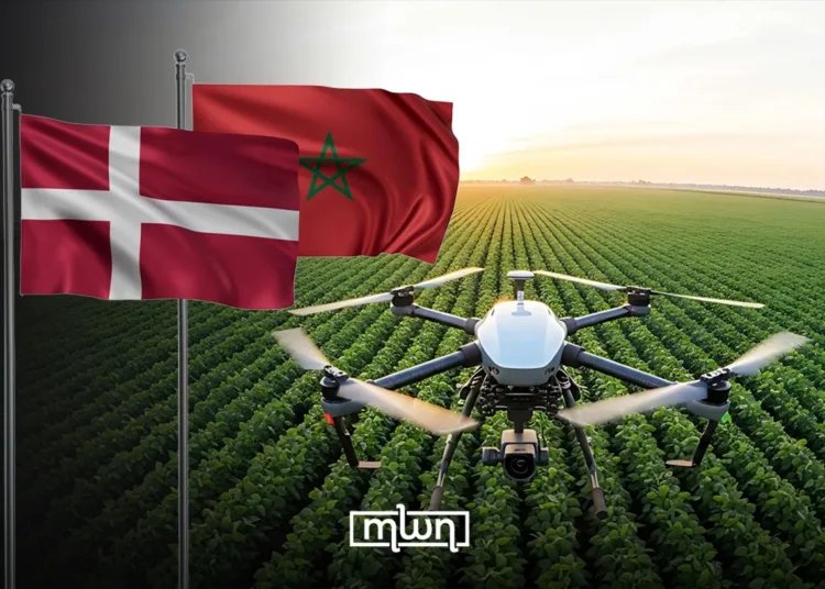 danish agadir agro industry