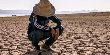 WMO Puts World on Alert as El Niño Conditions Emerge