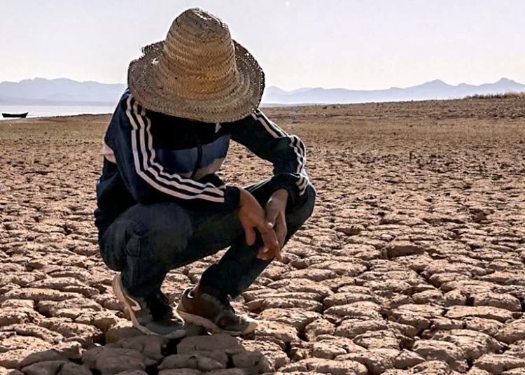 WMO Puts World on Alert as El Niño Conditions Emerge